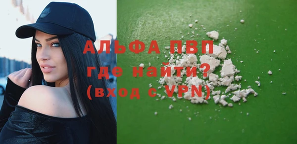 мет Алексин