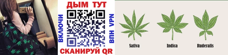 Марихуана гибрид  Волхов 